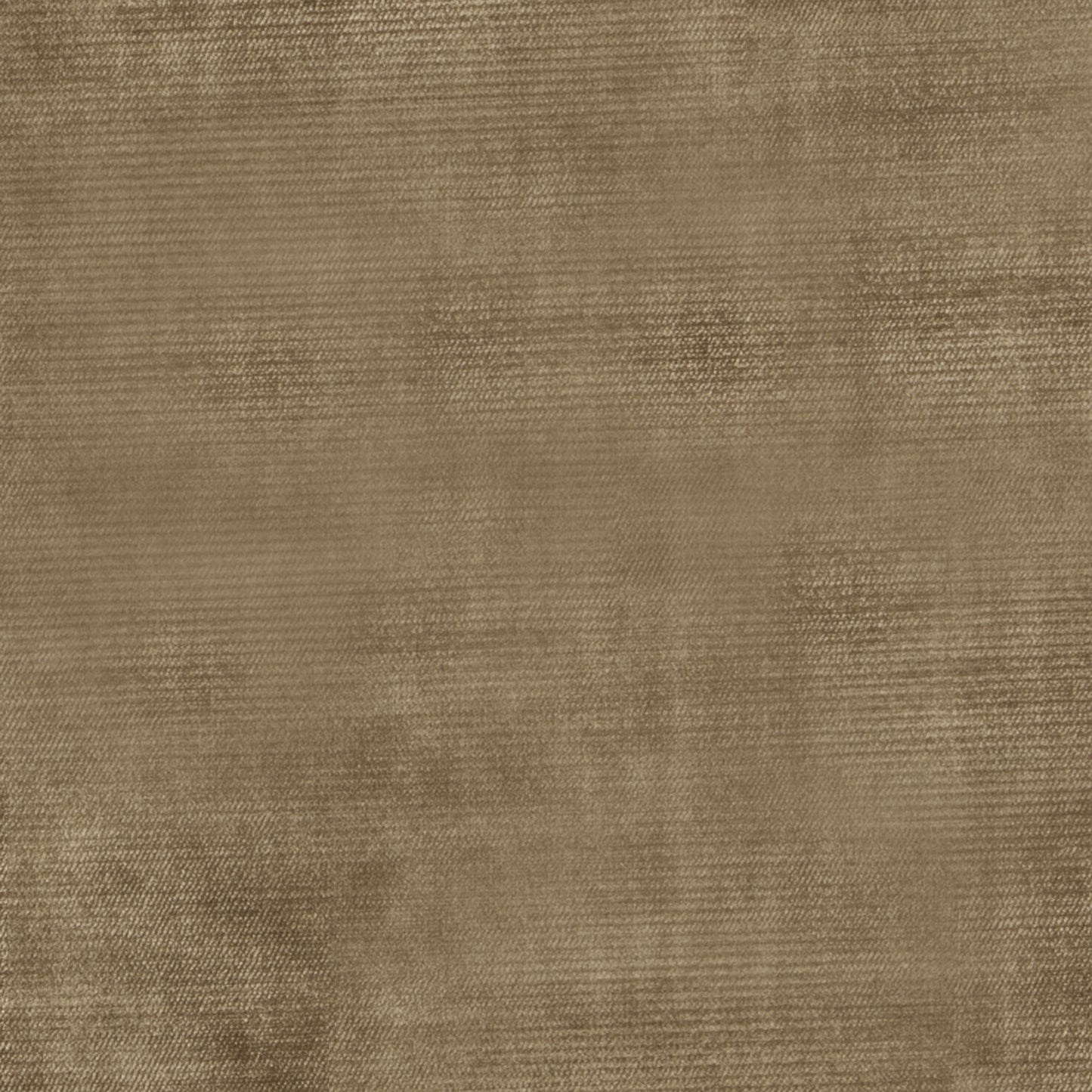 Studio Velvet Bark