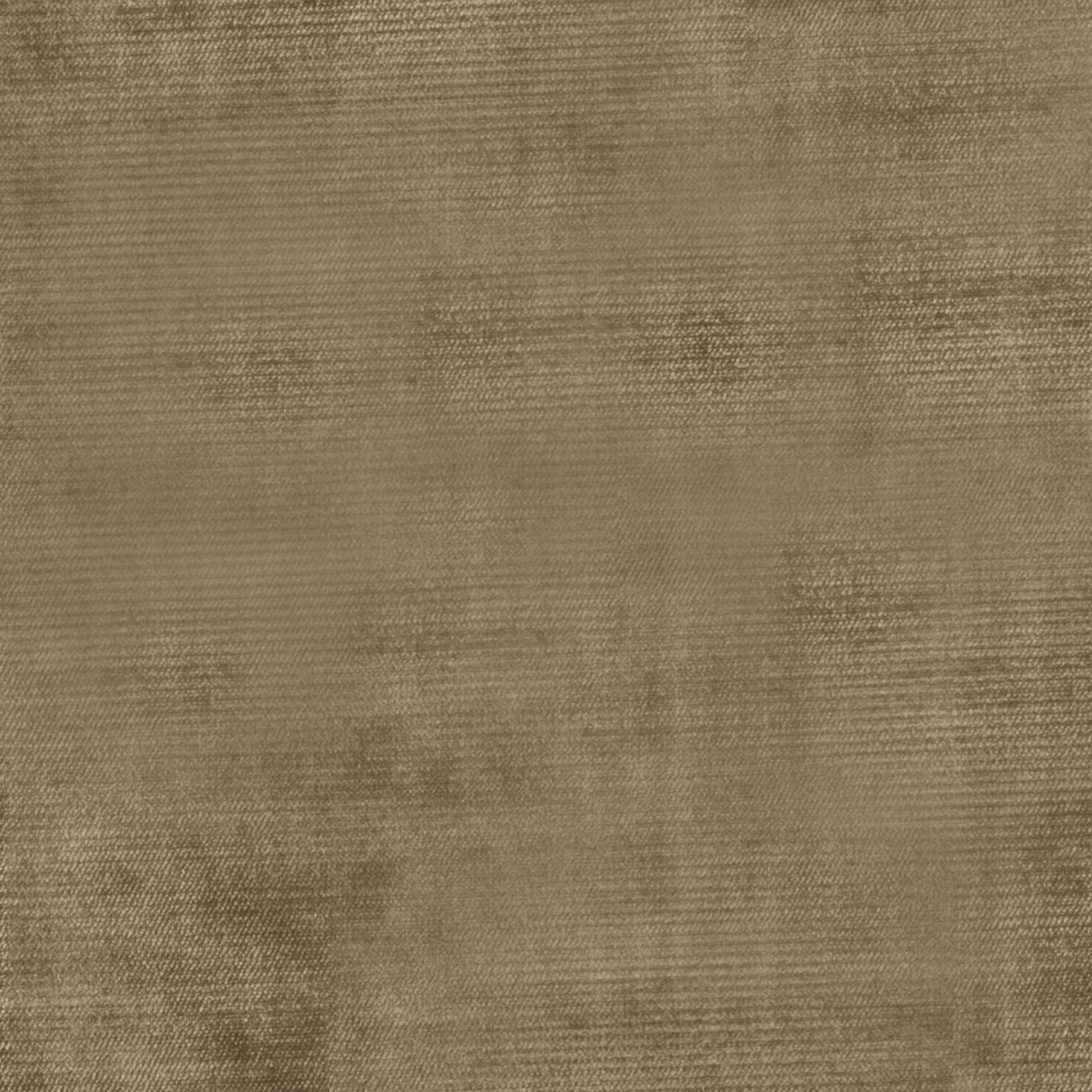 Studio Velvet Bark