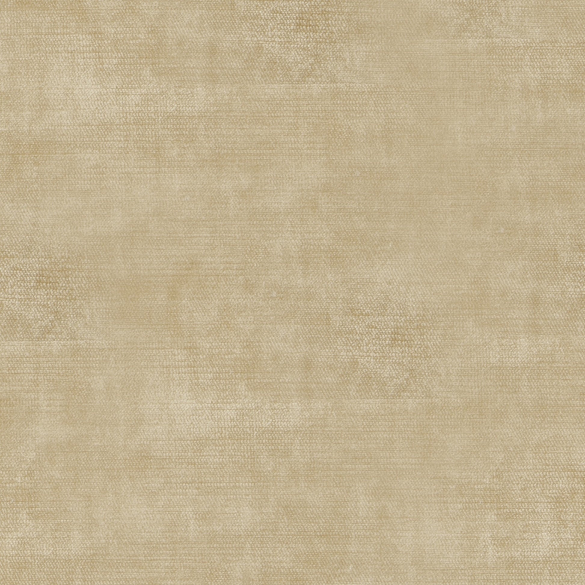 Studio Velvet Chamois