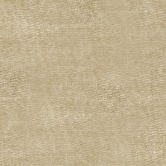 Studio Velvet Chamois