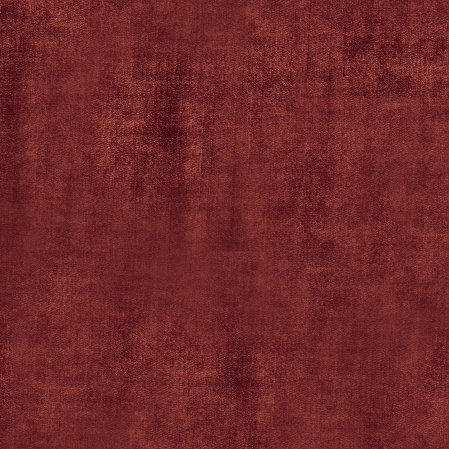 Studio Velvet Poppy
