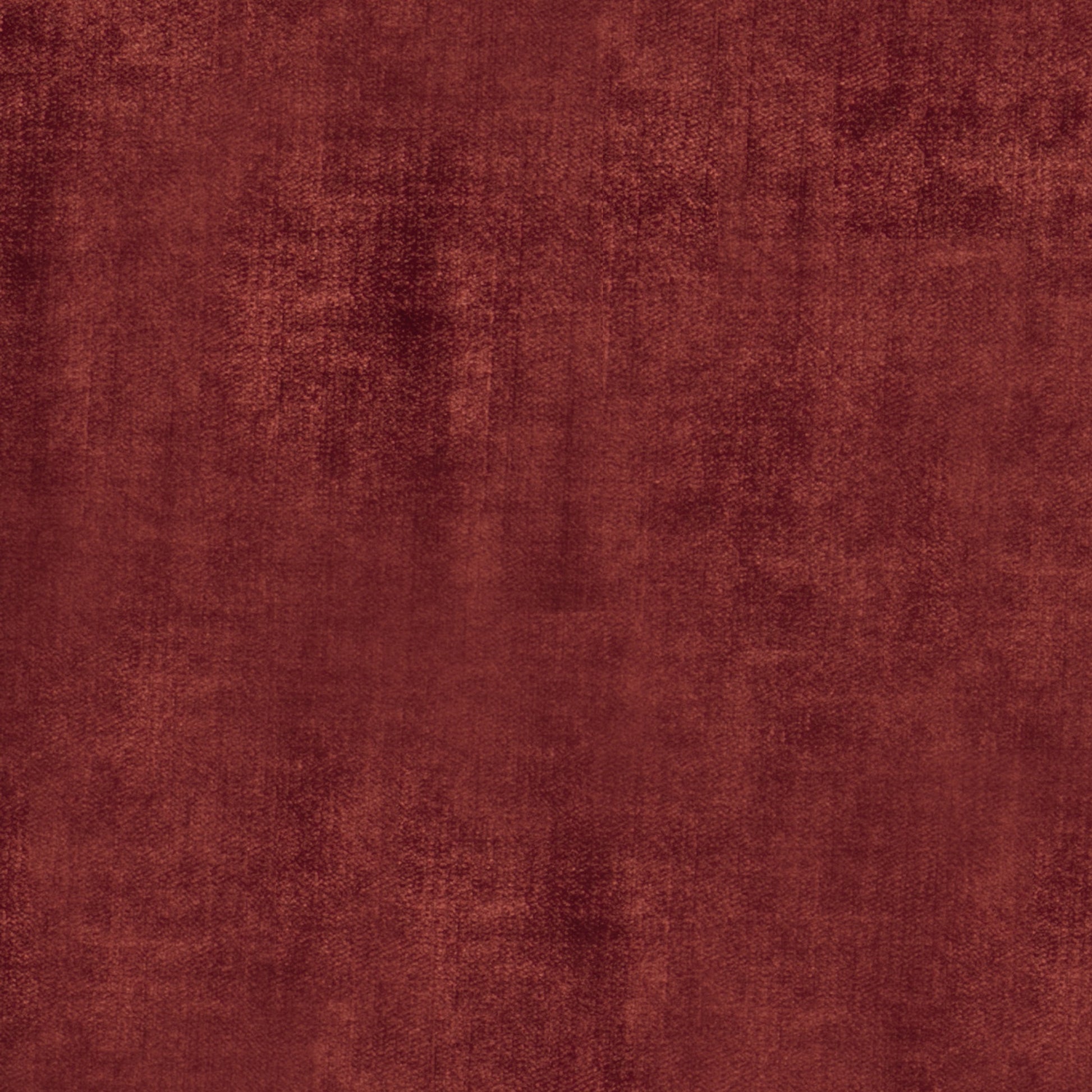 Studio Velvet Poppy