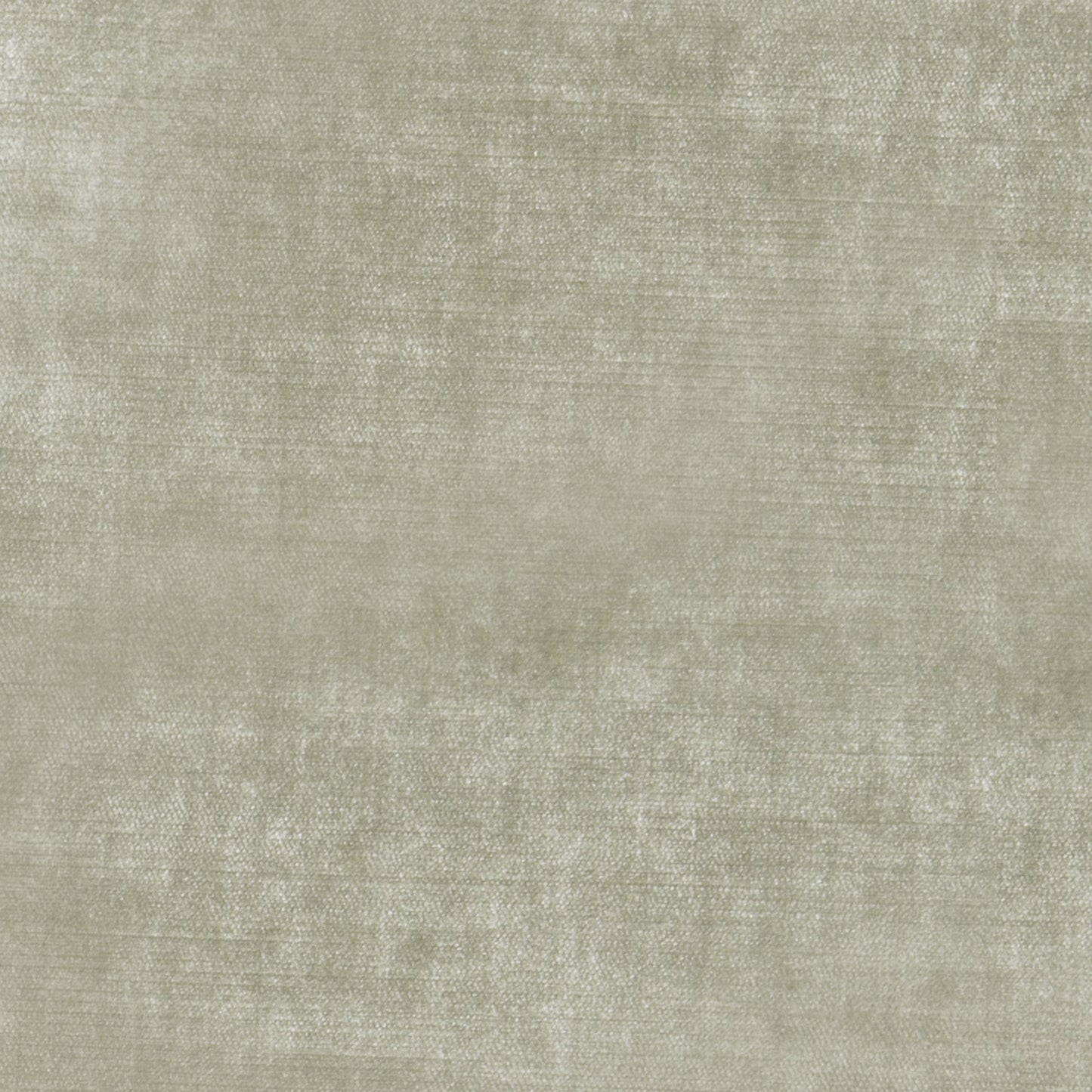 Studio Velvet Spruce