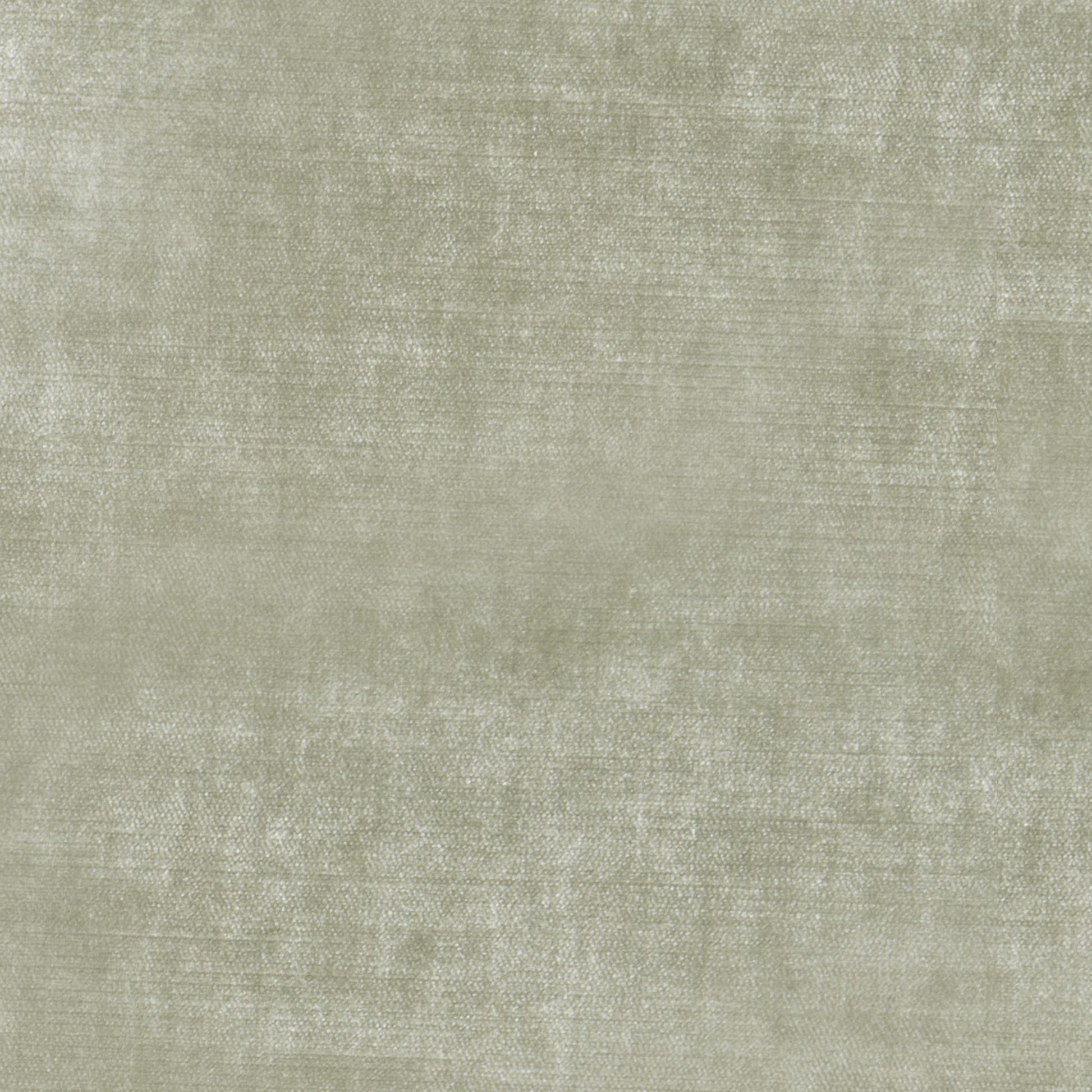 Studio Velvet Spruce