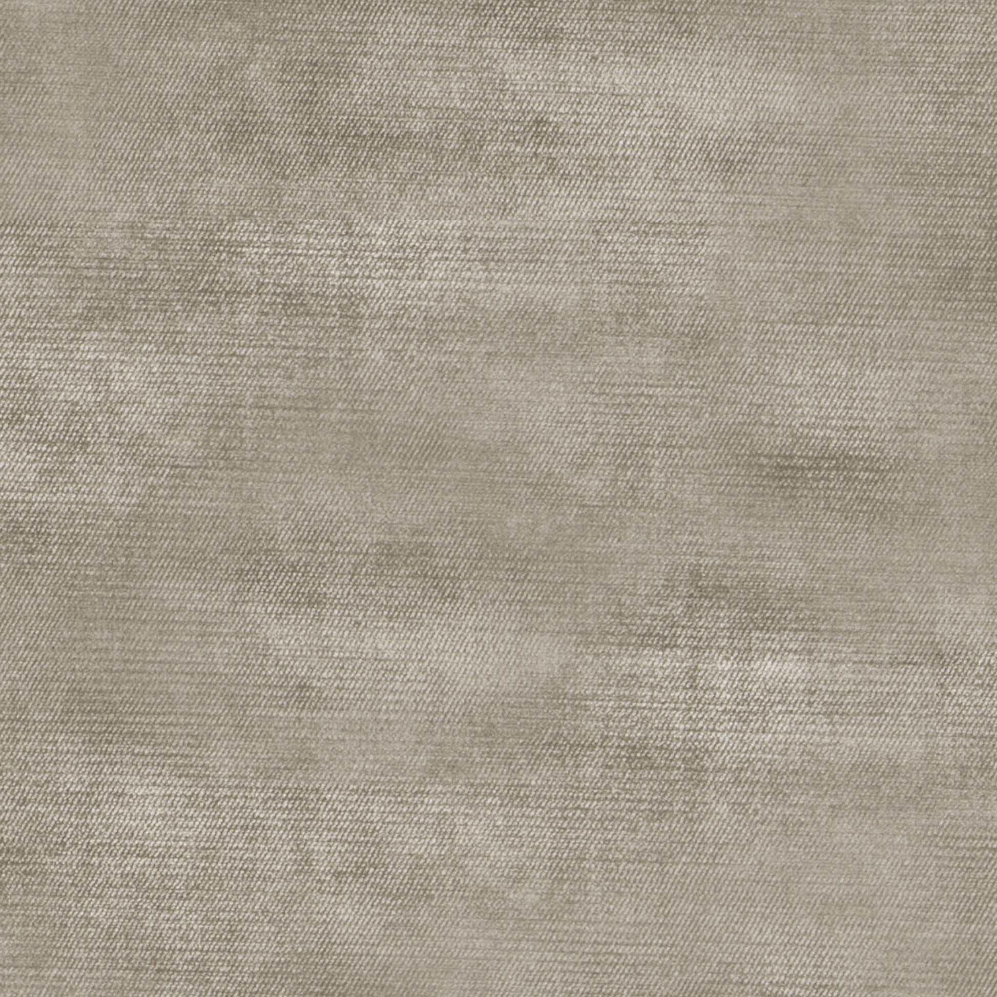Studio Velvet Truffle