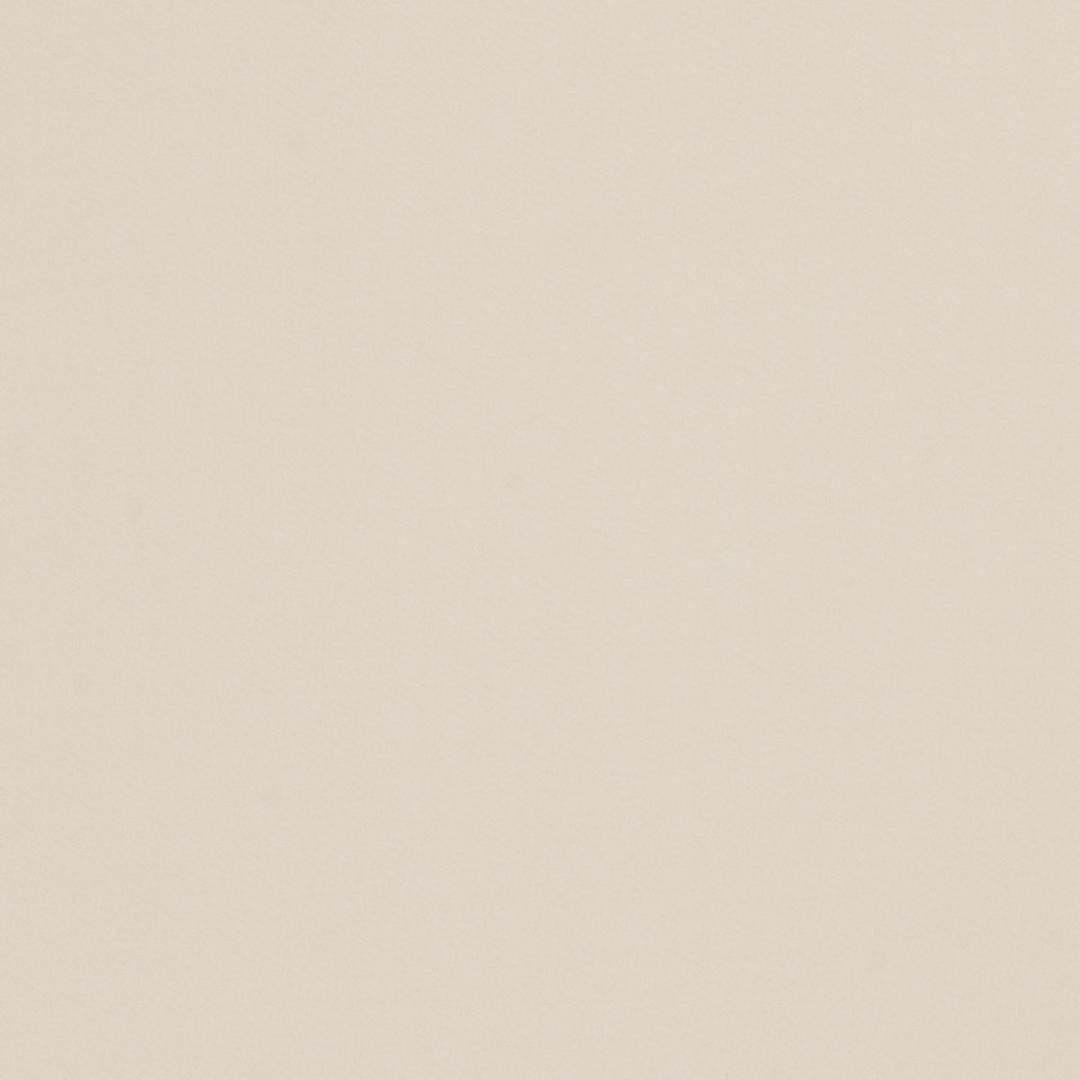 Valencia Satin - Birch
