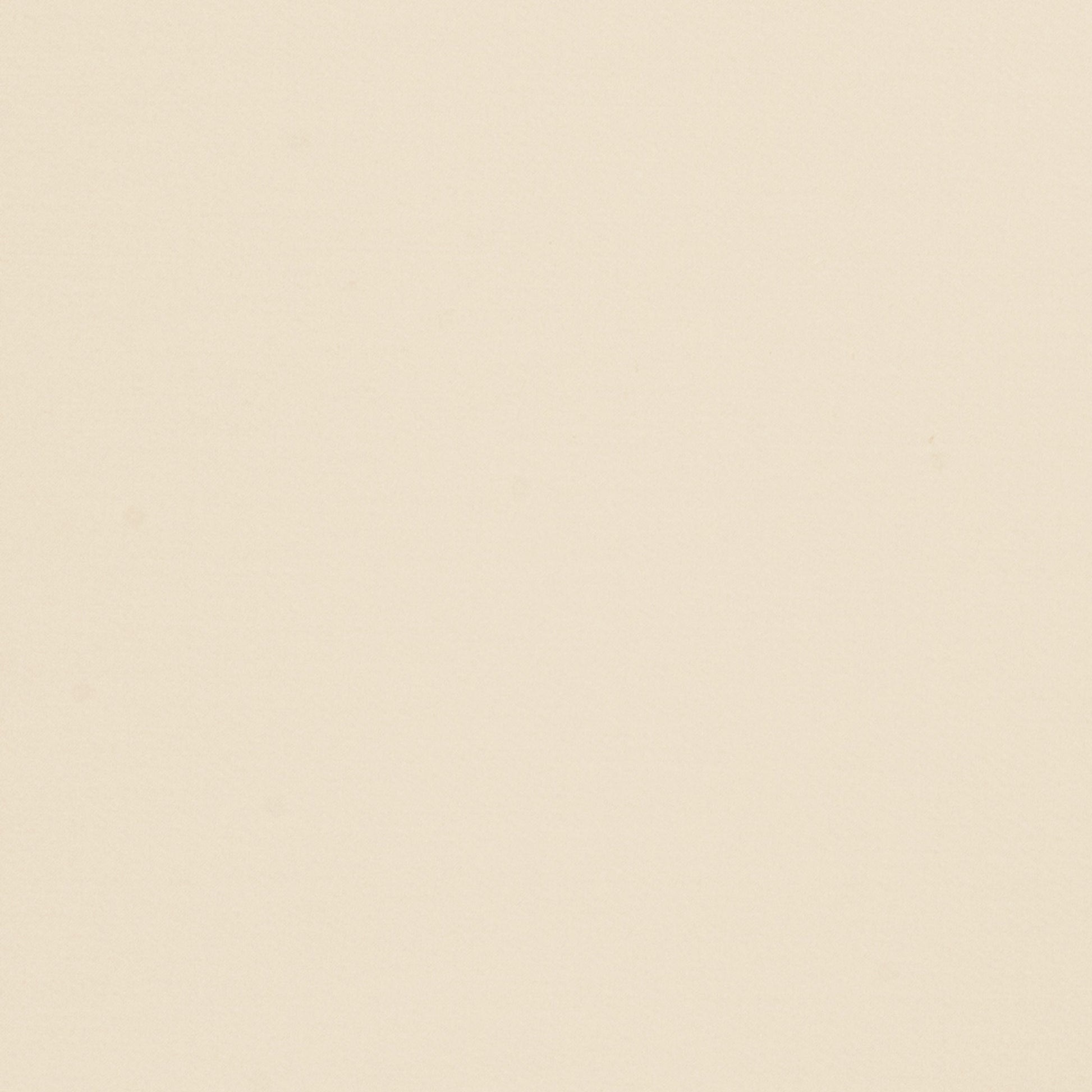 Valencia Satin - Cream