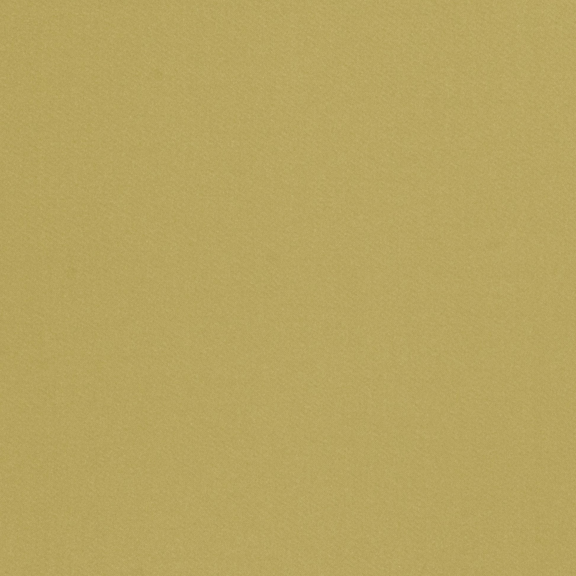 Valencia Satin - Fern
