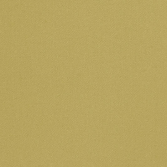 Valencia Satin - Fern