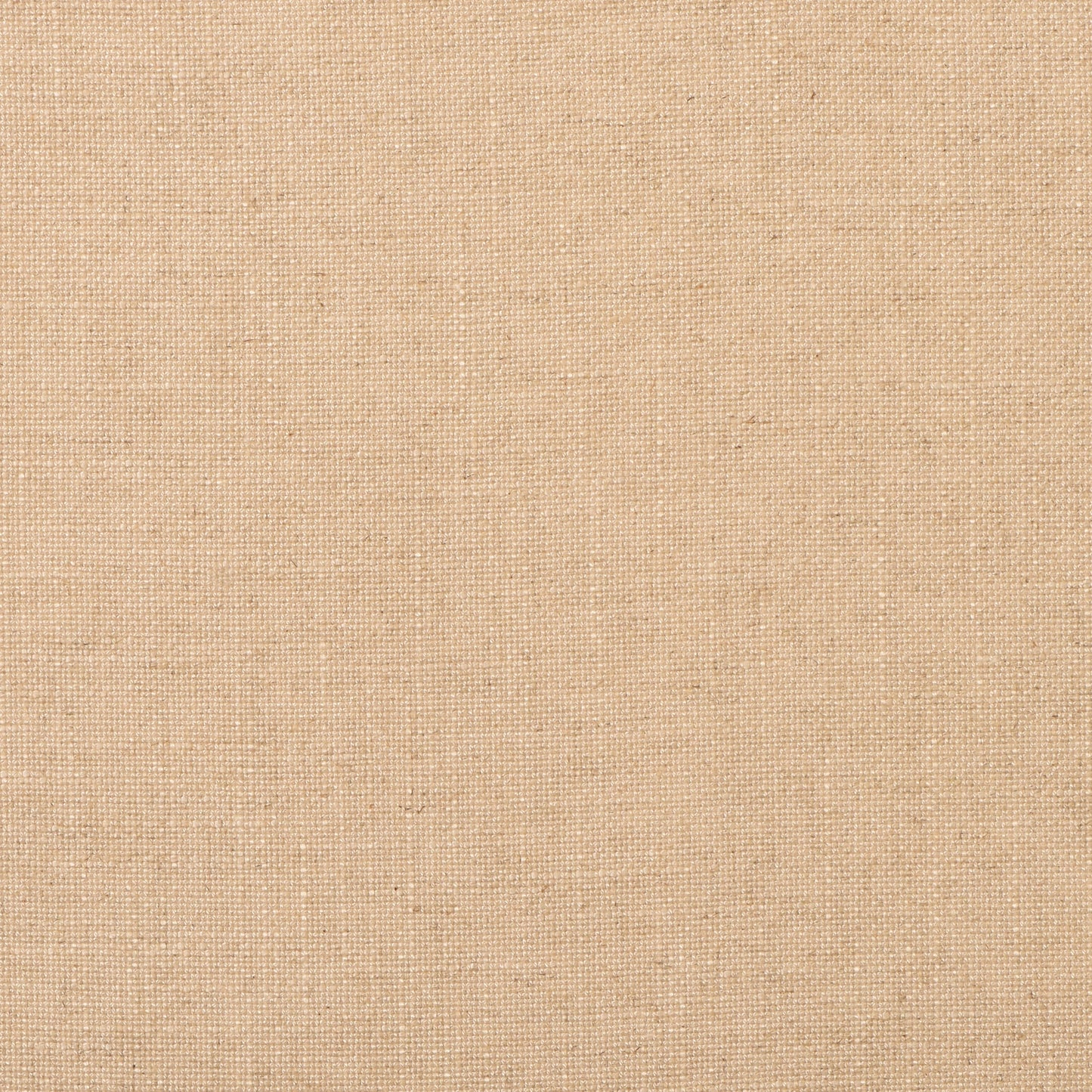 Evere - Crypton Home - Cream