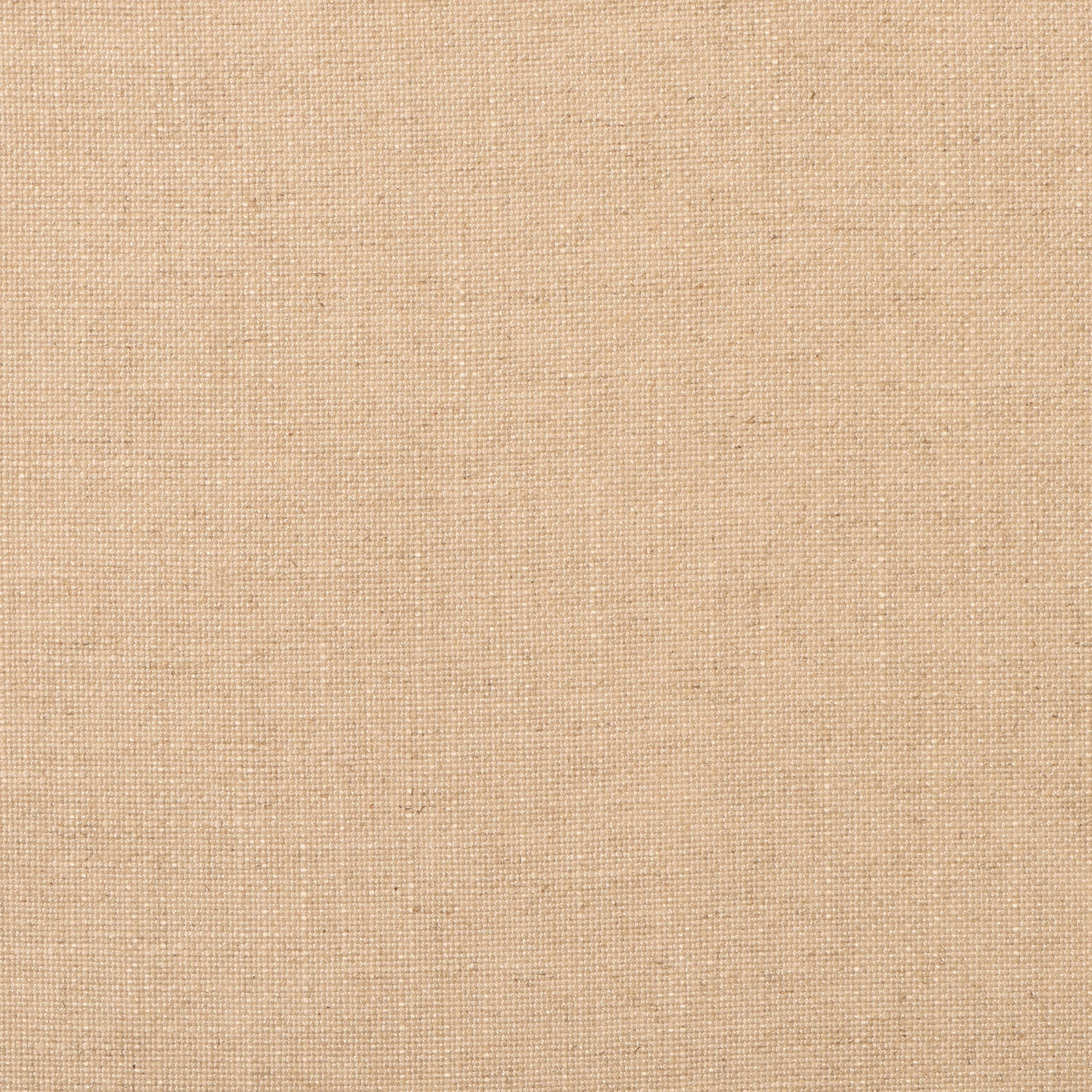 Evere - Crypton Home - Cream