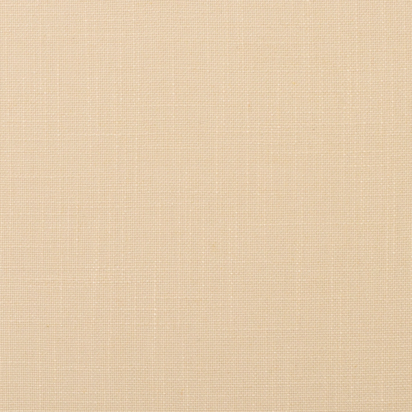 Evere - Crypton Home - Ivory