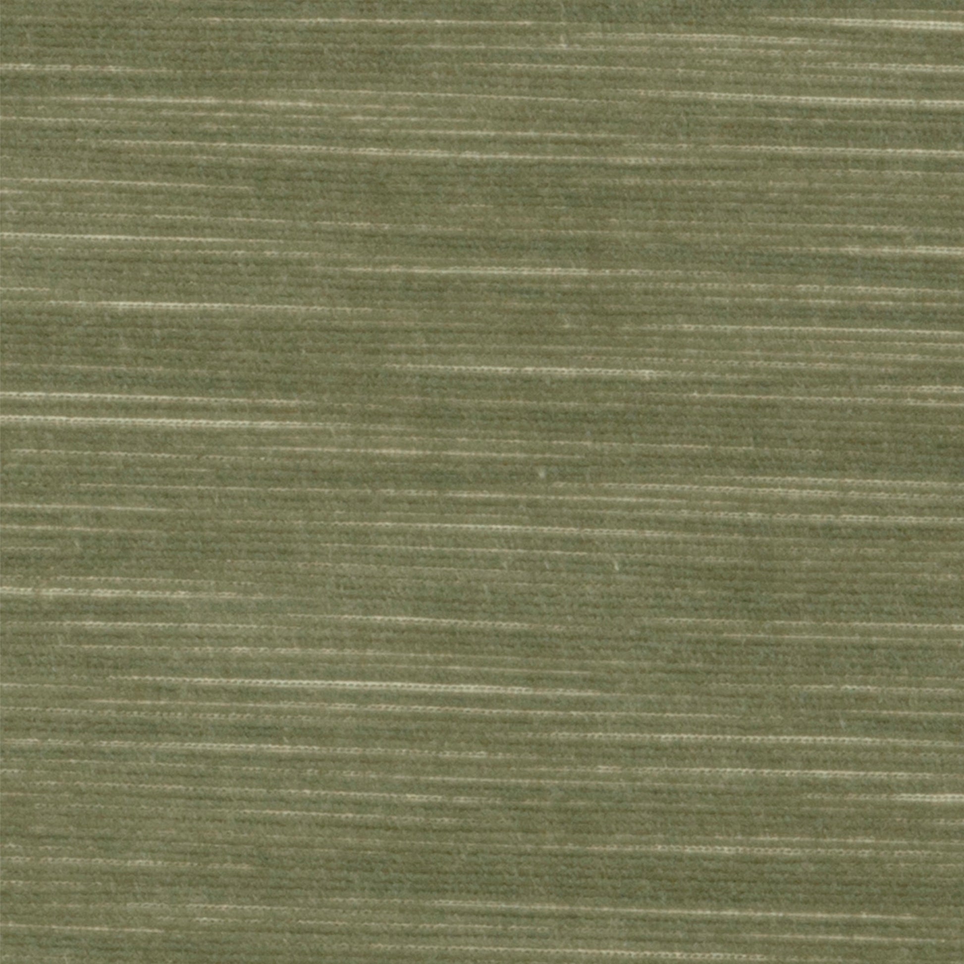 Rossi Velvet - Vern Yip - Bayleaf