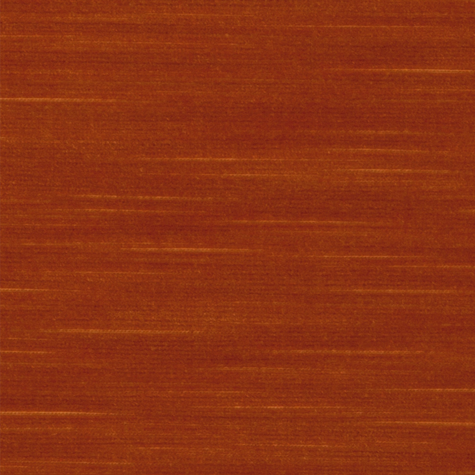 Rossi Velvet - Vern Yip - Orange
