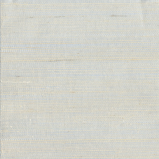 DE8995 - Blooms Second Edition Wallpaper Maguey Sisal