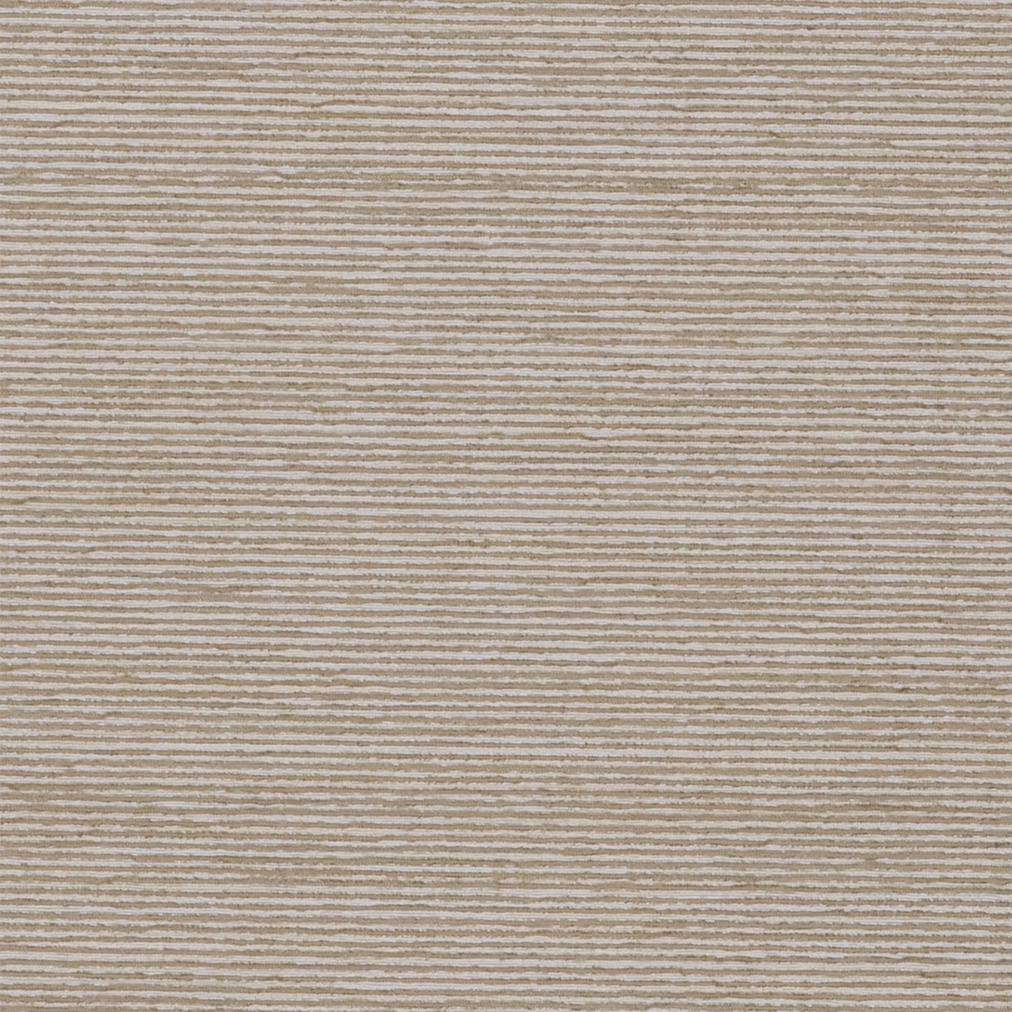 Sophistication Dune
