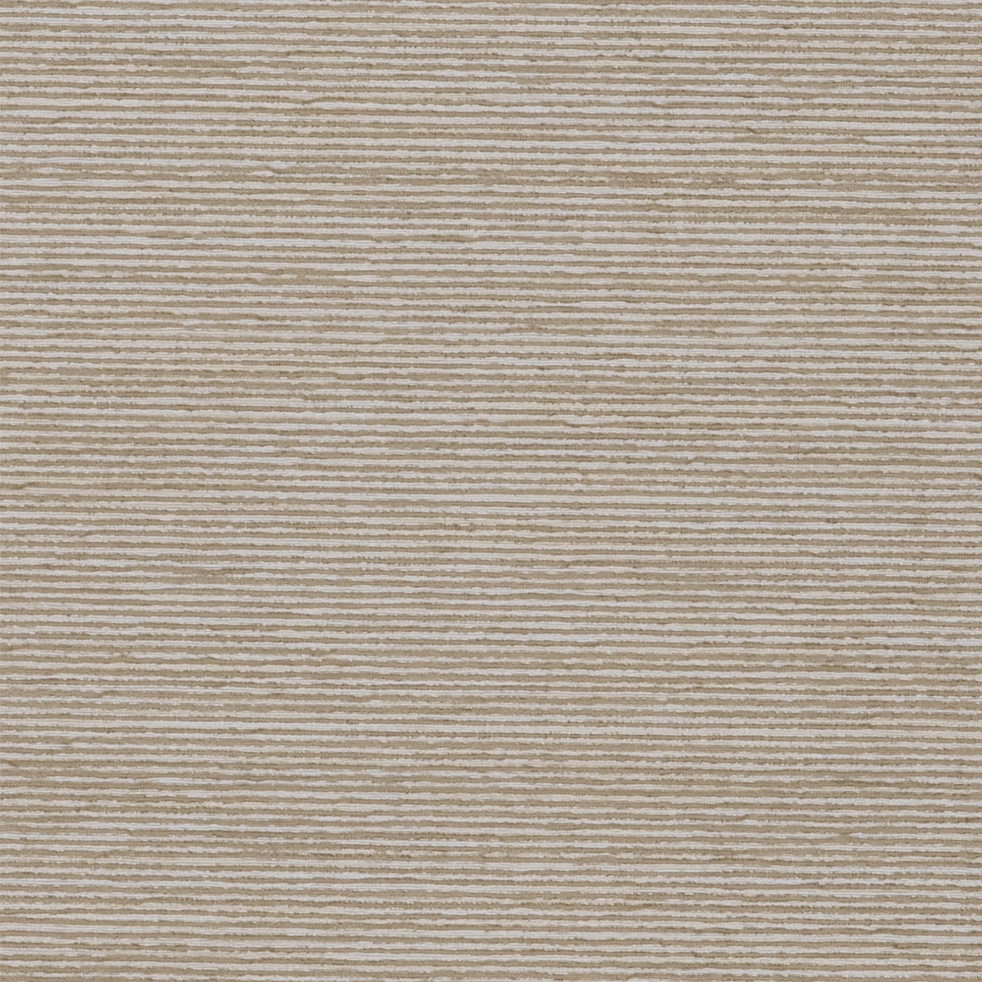 Sophistication Dune