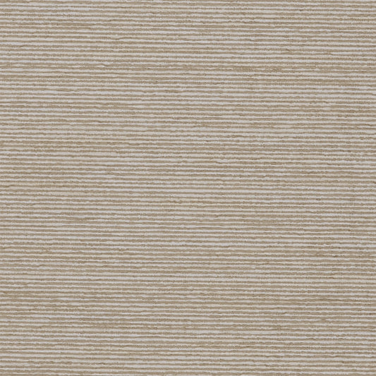 Sophistication Dune