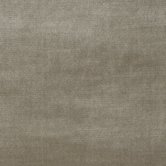 Studio Velvet Parchment