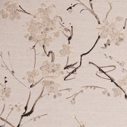 Emilia Dove