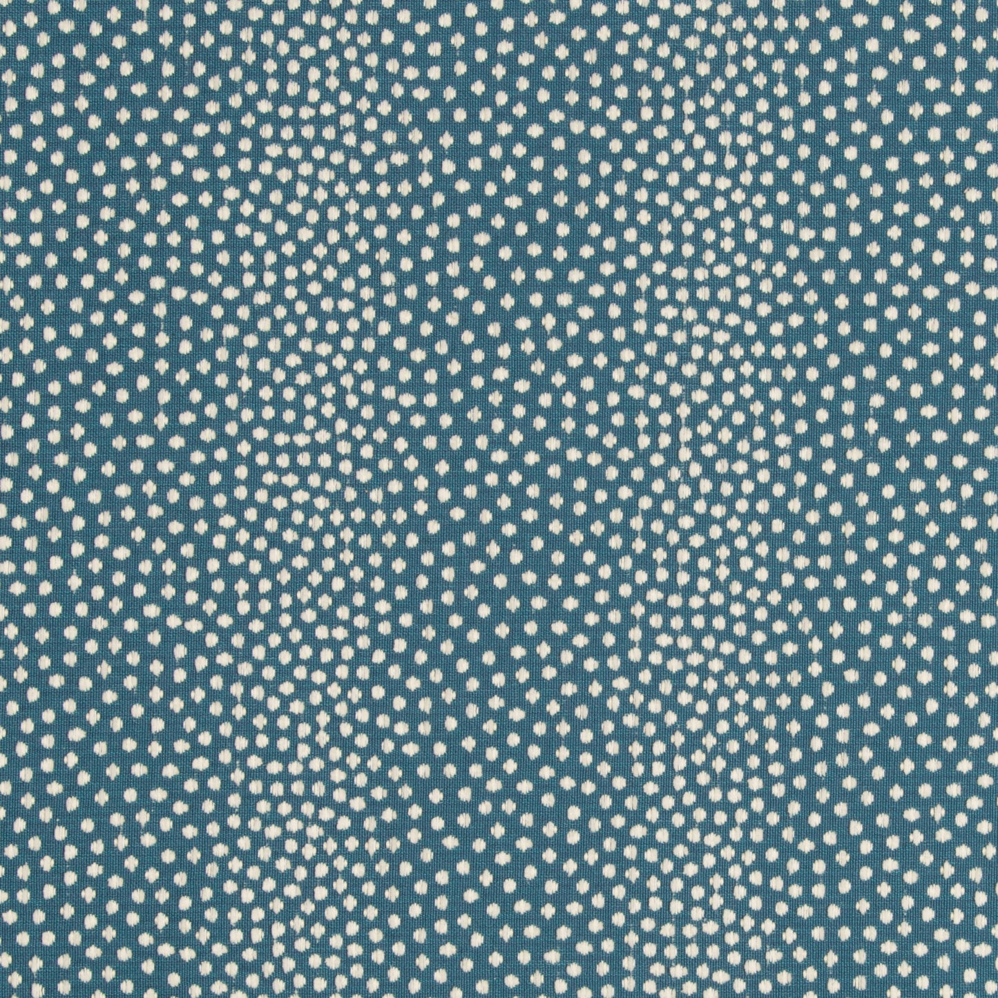Catolo - Crypton Home - Ocean