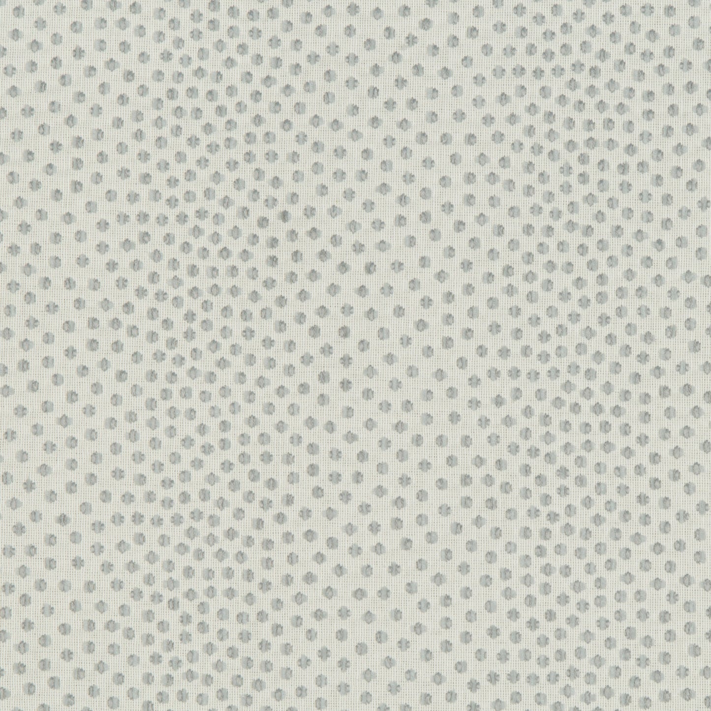 Catolo - Crypton Home - Sea Star