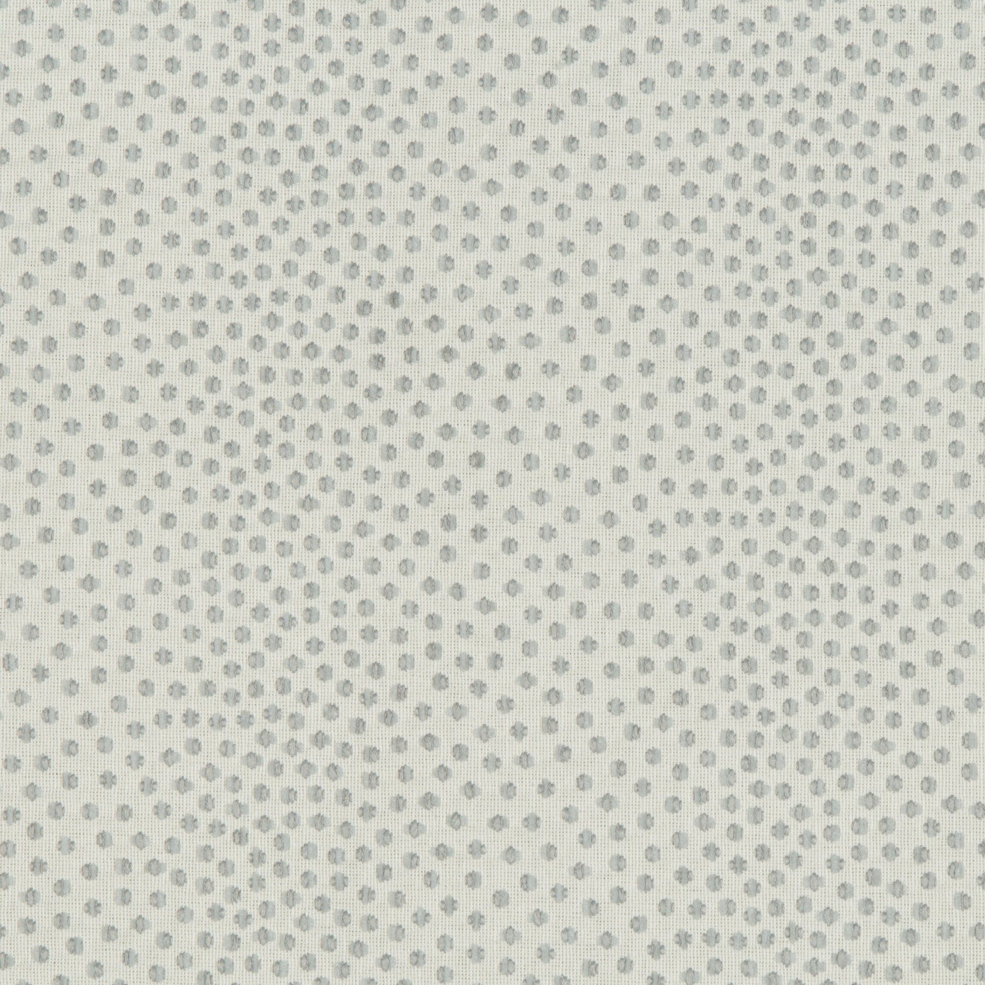 Catolo - Crypton Home - Sea Star