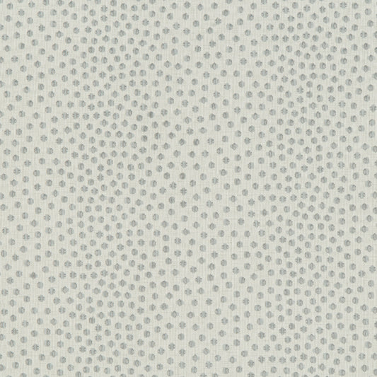 Catolo - Crypton Home - Sea Star