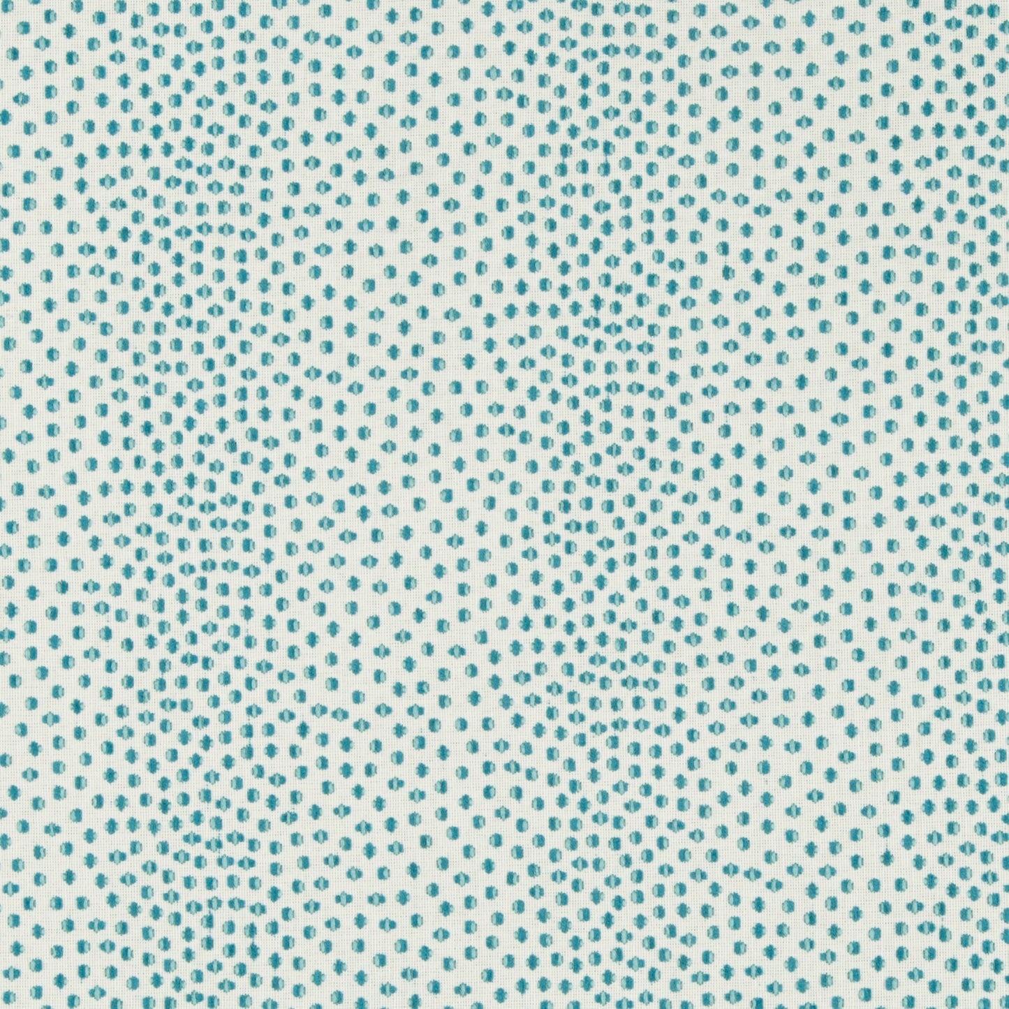 Catolo - Crypton Home - Teal