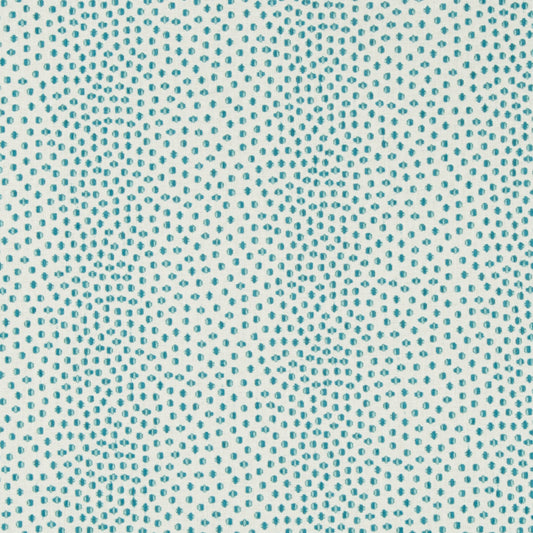 Catolo - Crypton Home - Teal