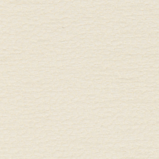 Ciottolo - Crypton Home - Off White