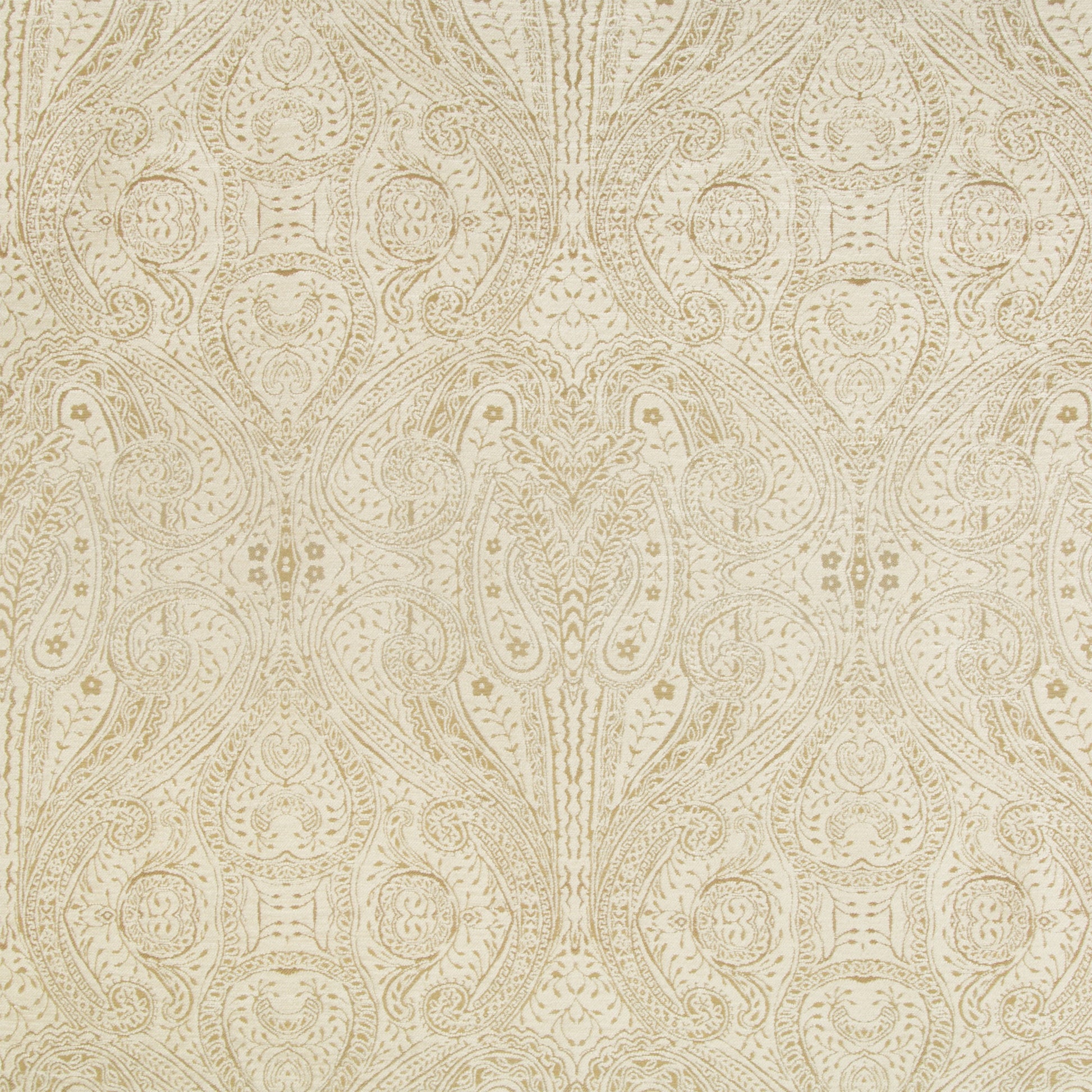 Donatella - Crypton Home - Cream