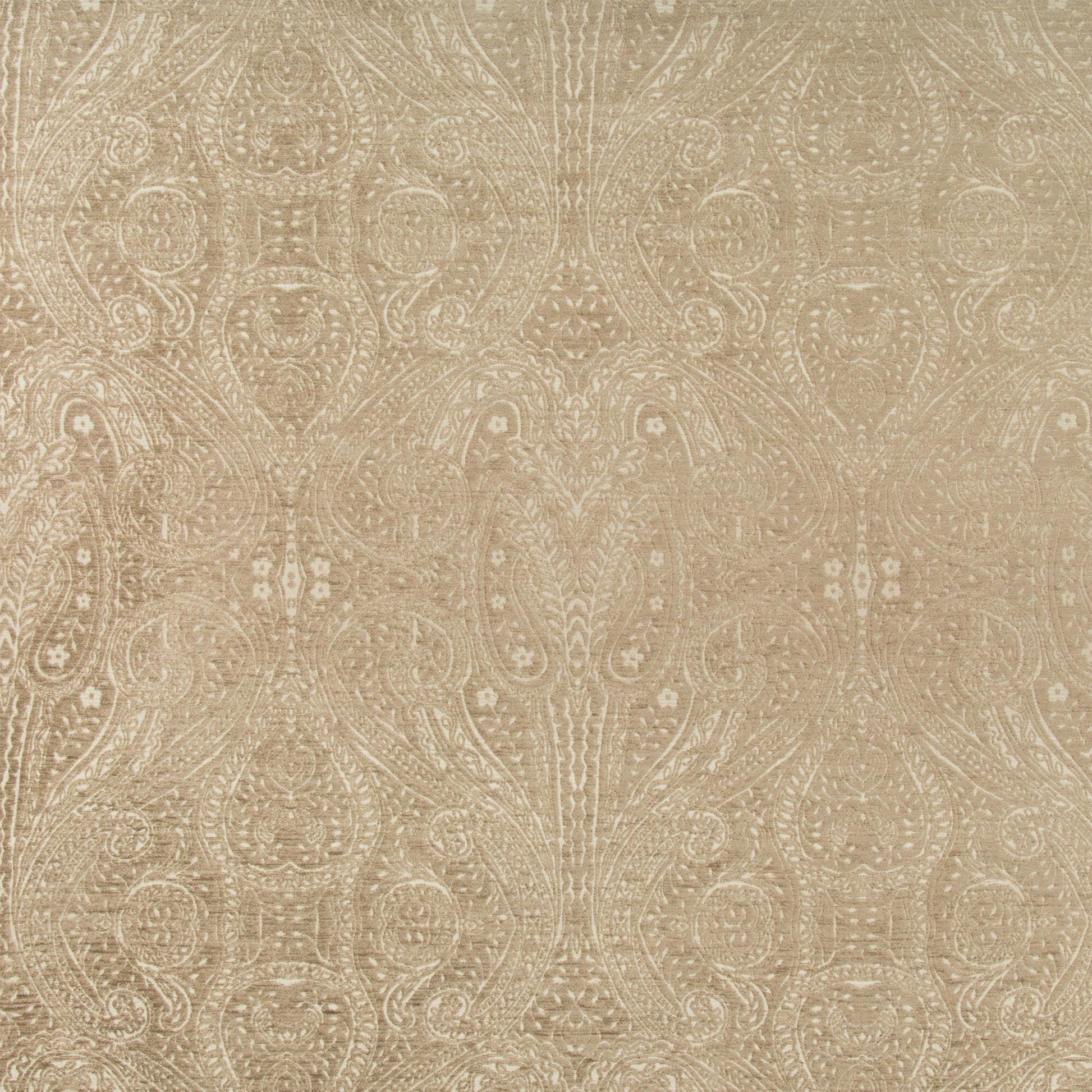 Donatella - Crypton Home - Dove