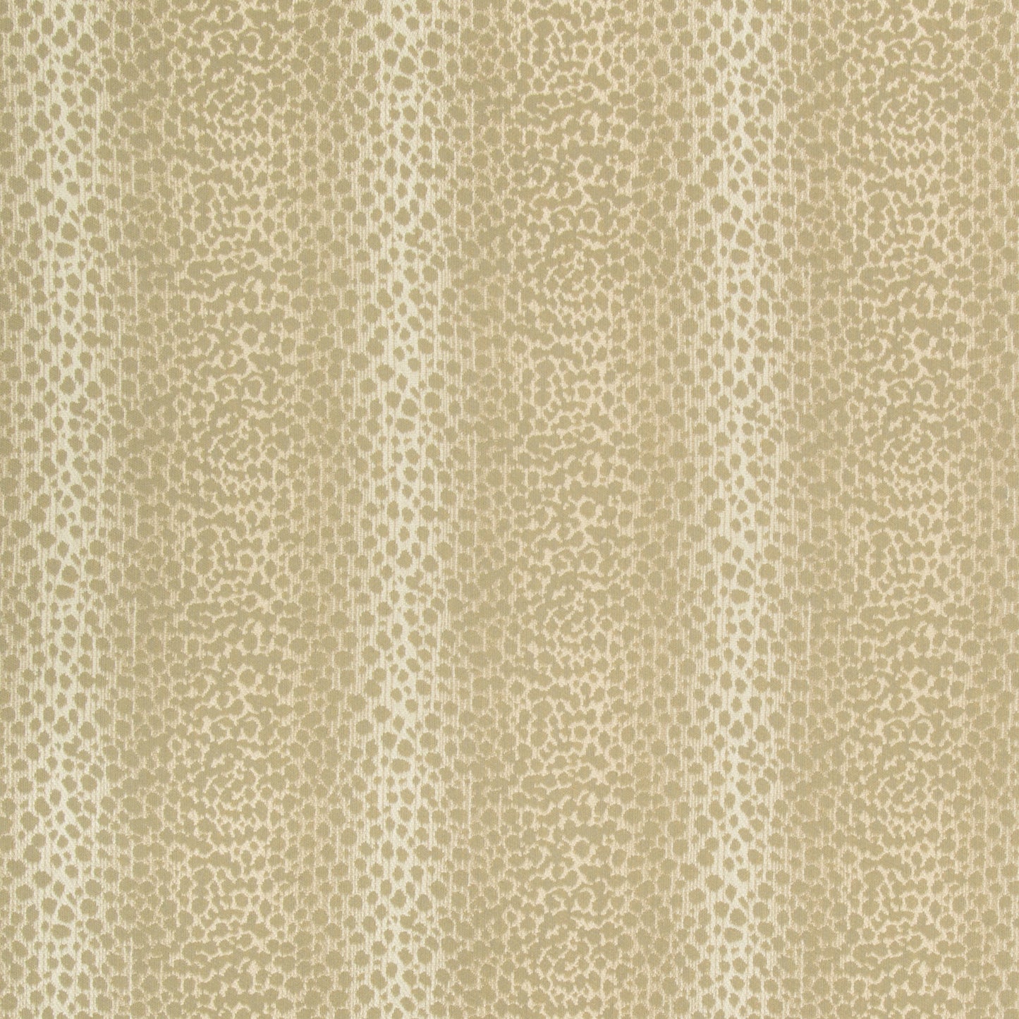 Feroce - Crypton Home - Dove
