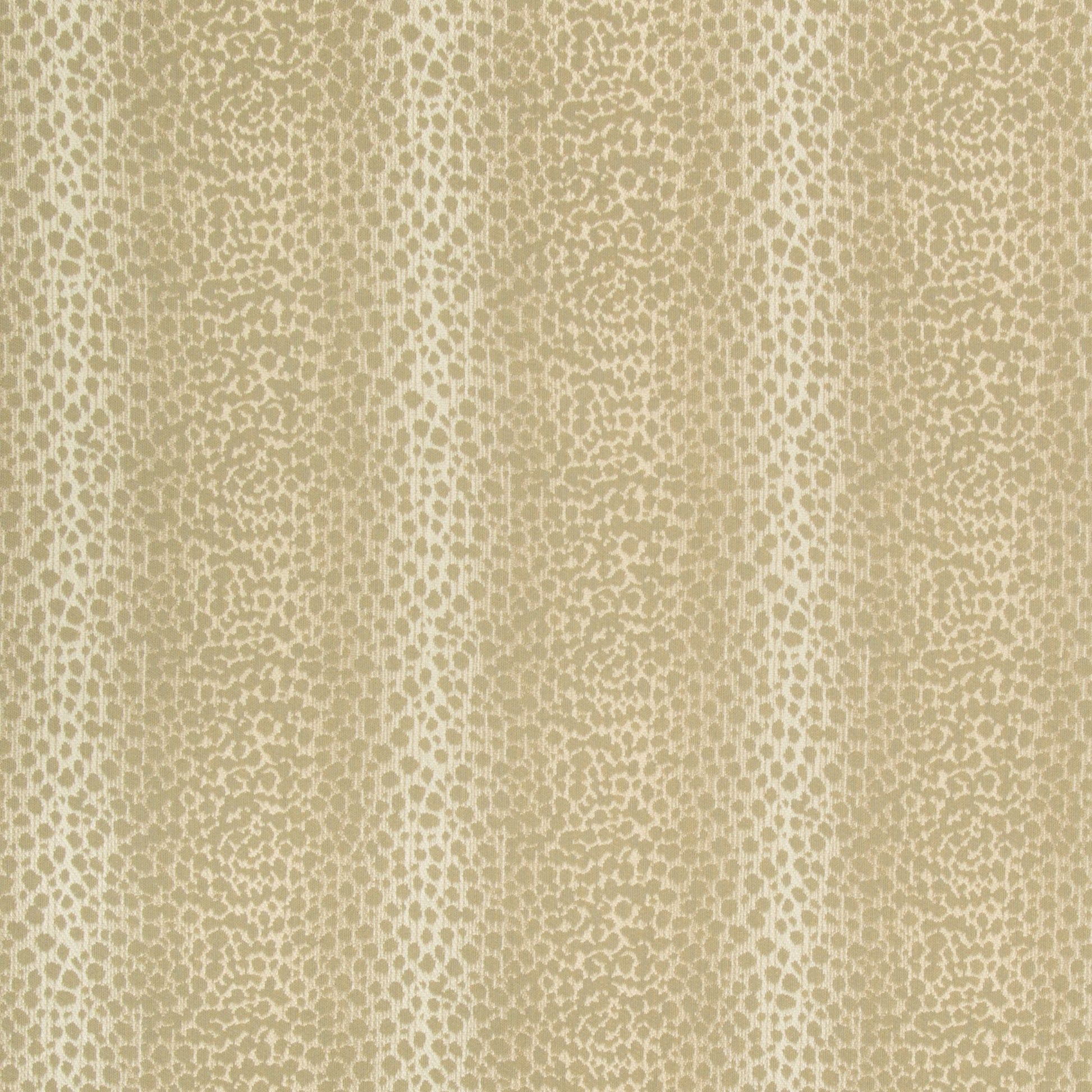 Feroce - Crypton Home - Dove