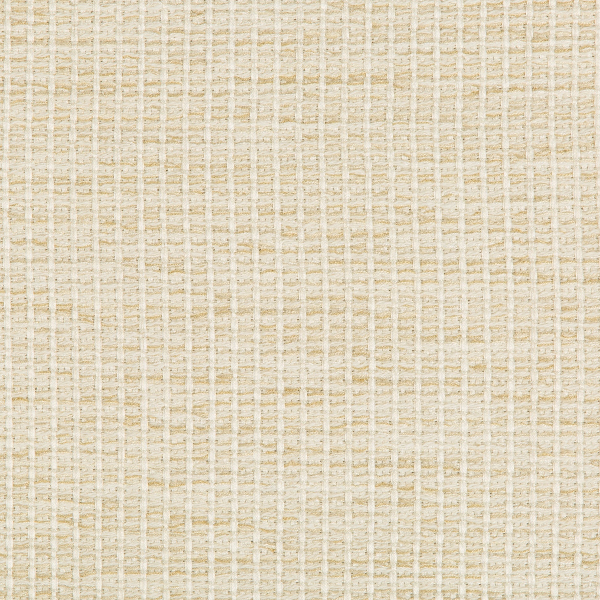 Pioli - Crypton Home - Cream