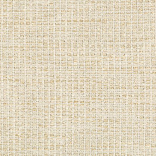 Pioli - Crypton Home - Cream