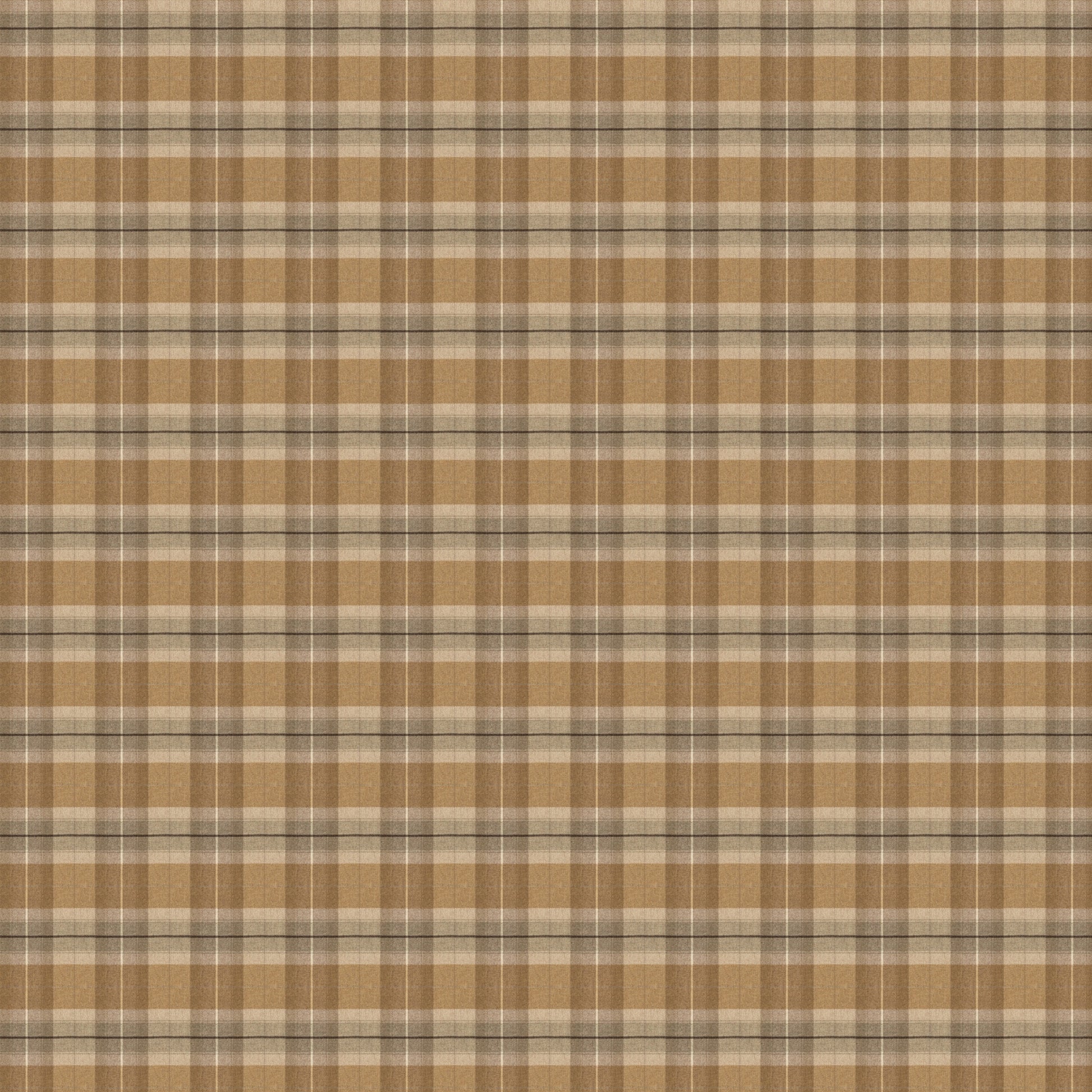 Lanini - Luxe Collection - Lichen