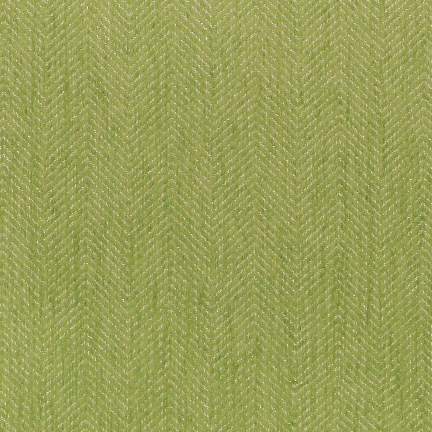 Seabry - Inside Out - 3 Gecko