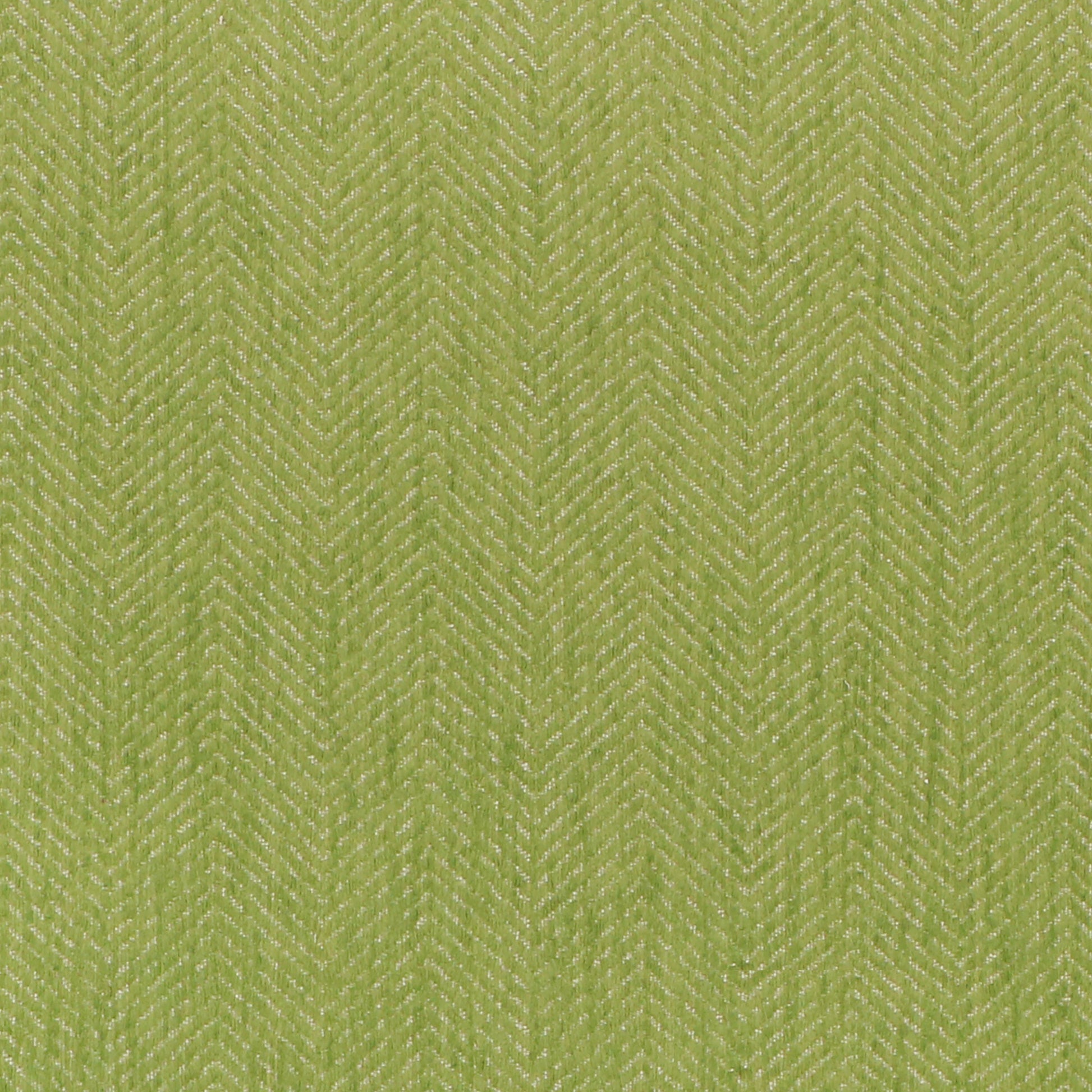 Seabry - Inside Out - 3 Gecko