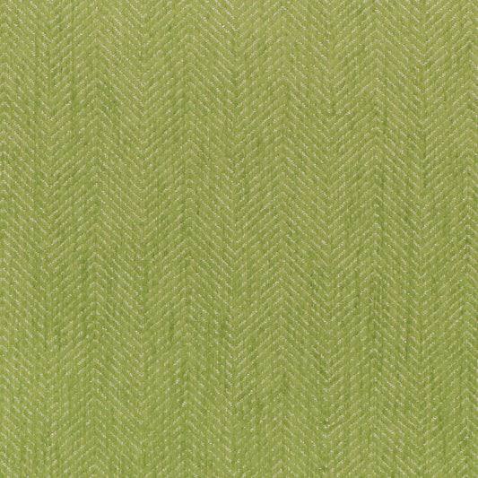 Seabry - Inside Out - 3 Gecko