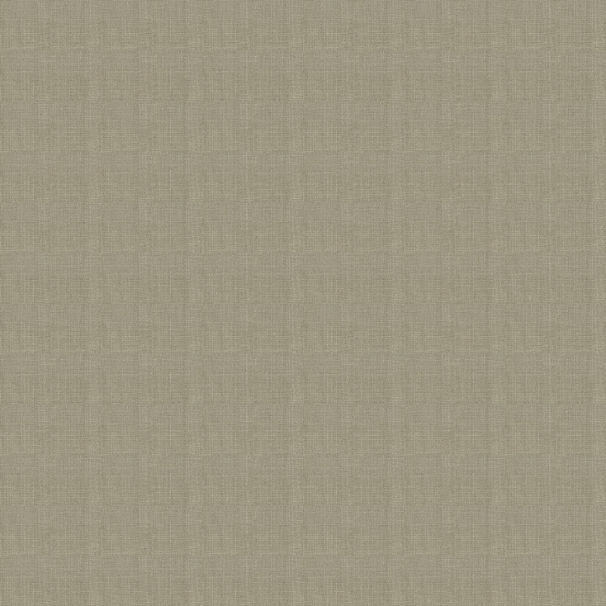 Emporio - Vern Yip - Beige