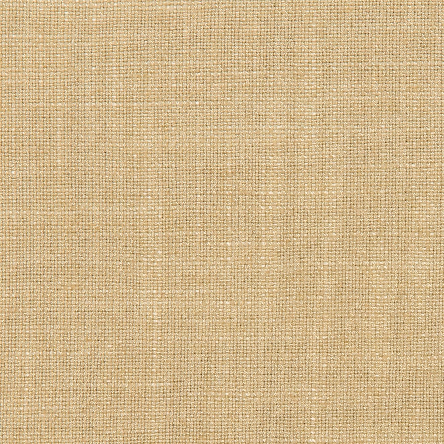 Lovely Aura - 1601 Cream