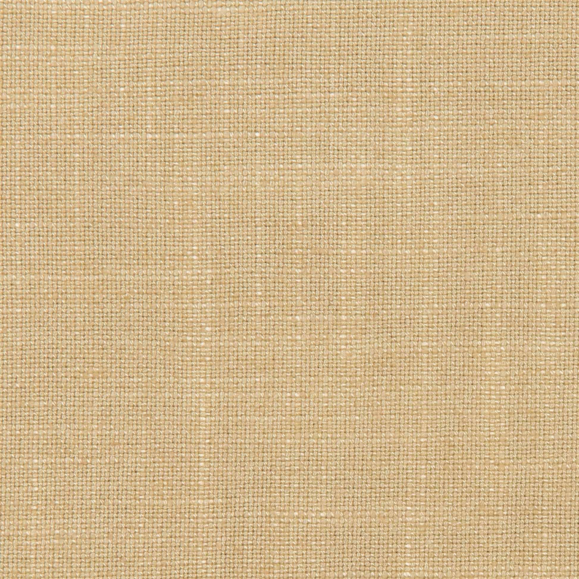 Lovely Aura - 1601 Cream