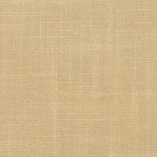 Lovely Aura - 1601 Cream