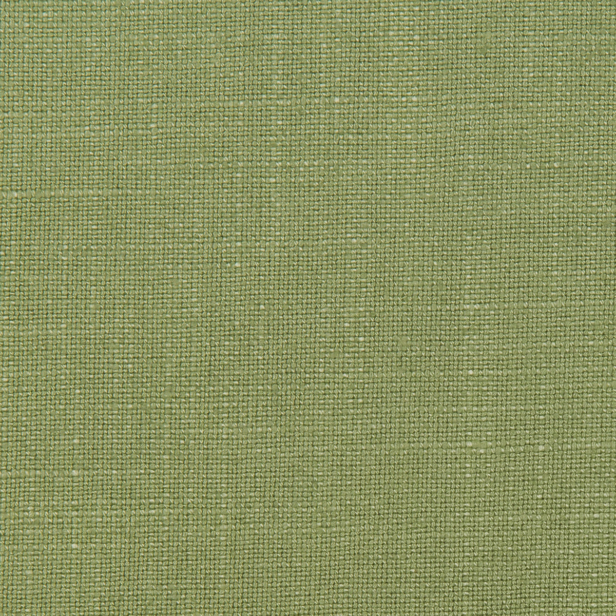 Lovely Aura - 23 Wasabi