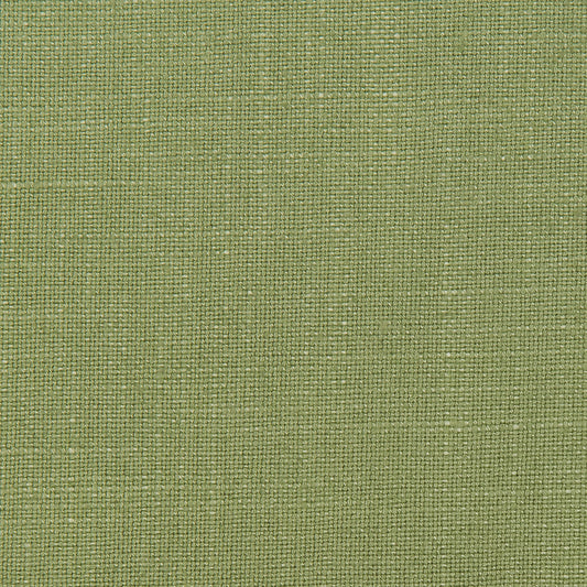 Lovely Aura - 23 Wasabi