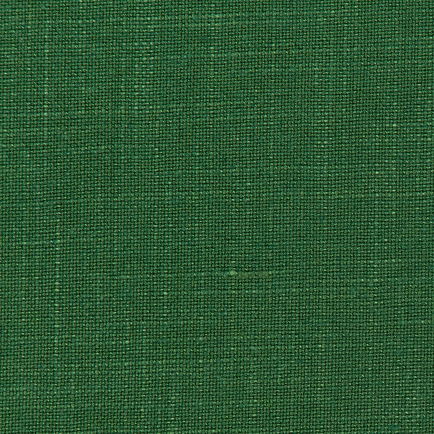 Lovely Aura - 3 Cilantro