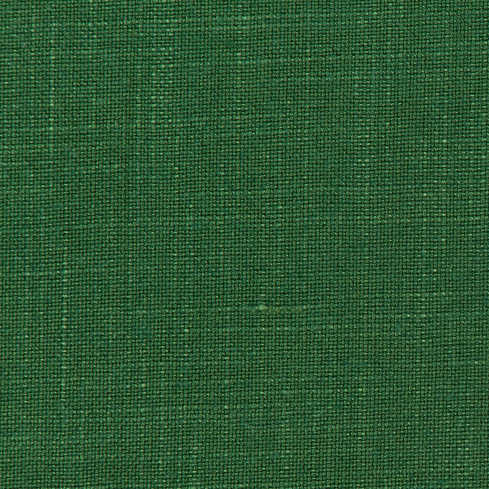 Lovely Aura - 3 Cilantro