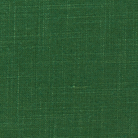 Lovely Aura - 3 Cilantro